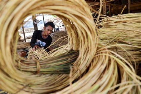 Edukasi Pengolahan Rotan dari Cirebon - raincitystudios.com