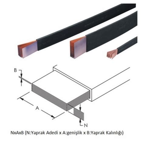 codini.rgarabwor.edu.pl. 