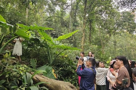 Efek Kupu-kupu | PDF - Scribd - wintechmobiles.com