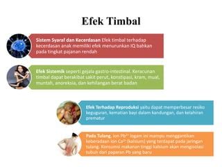 Efek Timbal Terhadap Kesehatan - The Indonesian Public Health - wintechmobiles.com