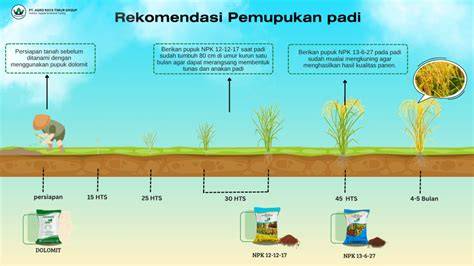 Efektivitas Pemupukan Terhadap Produktivitas Tanaman Padi Pada Lahan ... - raincitystudios.com