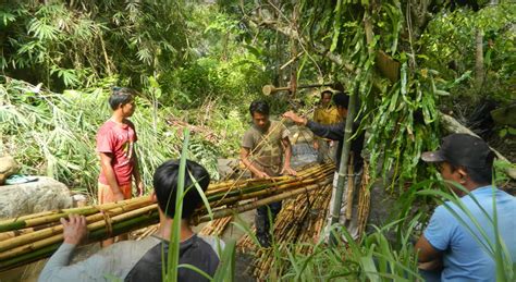 EFEKTIVITAS PROGRAM PERHUTANAN SOSIAL DALAM BENTUK HUTAN KEMASYARAKATAN ... - raincitystudios.com