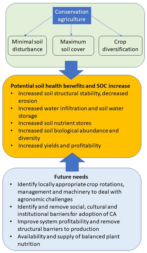 Effect of conversion of farmland to forest or grassland on soil erosion ... - raincitystudios.com