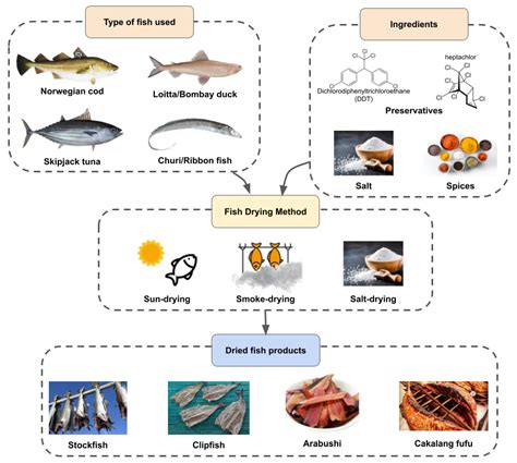 Effect of Emerging Processing Technology on Nutritional Quality of Dry Fish - wintechmobiles.com