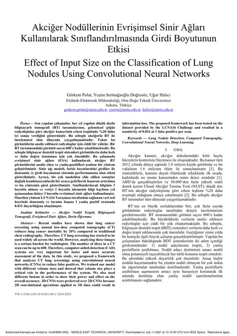Effect of Input Size on the Classification of Lung Nodules Using ... - coolestguyplanet.net