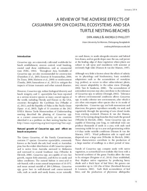 Effect of introduced Casuarina trees on the vulnerability of sea turtle ... - raincitystudios.com