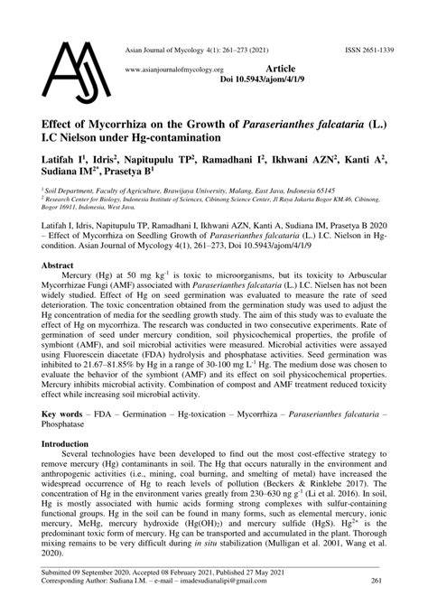 Effect of Mycorrhiza on the Growth of Paraserianthes falcataria (L.) I ... - raincitystudios.com