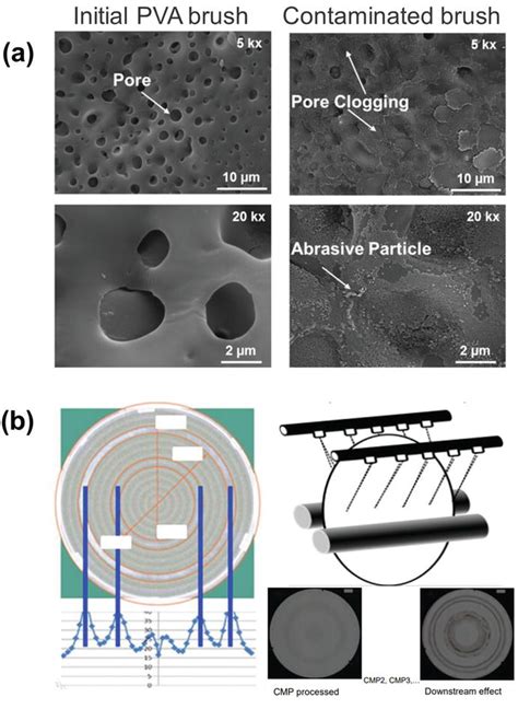 Effect of slurry particles on PVA brush contamination during post-CMP ... - muktibox.com