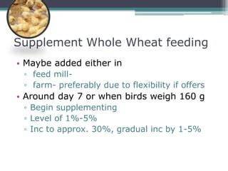 Effect of supplementing broiler diet with whole wheat (with or without ... - raincitystudios.com