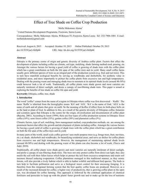 Effect of Tree Shade on Coffee Crop Production - raincitystudios.com
