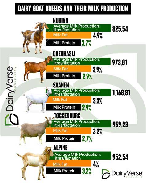 Effect of Using Different Types of Silages Mixtures in Dairy Goat Diets ... - raincitystudios.com