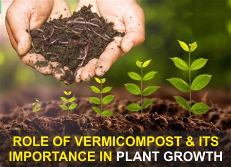 Effect of Vermicompost on Soil Properties, Plant Growth and ... - muktibox.com