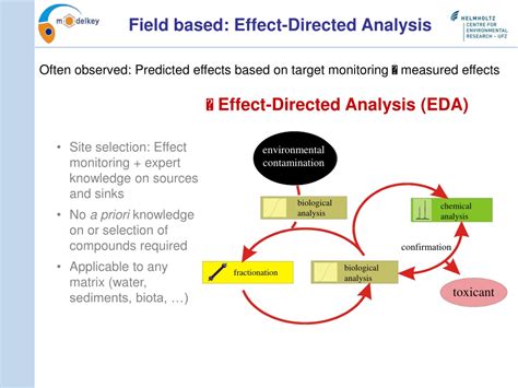 Effect-directed analysis of ginger - ScienceDirect - muktibox.com