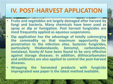 Effective Fungicides for Root Crown Infection Control - raincitystudios.com