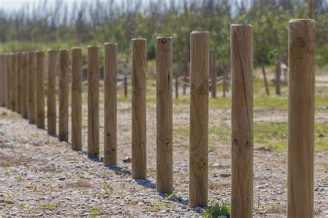 Effective Property Line Marking for Trees in Legal Boundary Disputes - raincitystudios.com