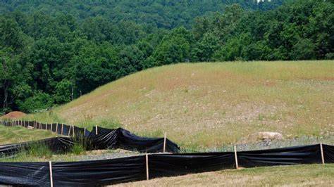 Effective Strategies for Stabilizing Steep Hillsides - raincitystudios.com