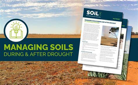 Effective Techniques for Managing Soil Moisture During Drought - raincitystudios.com