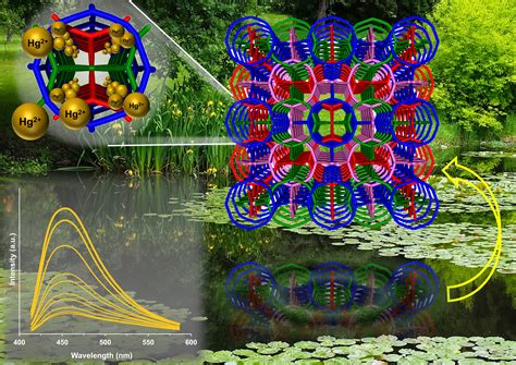 Effective water/wastewater treatment methodologies for toxic … - wintechmobiles.com