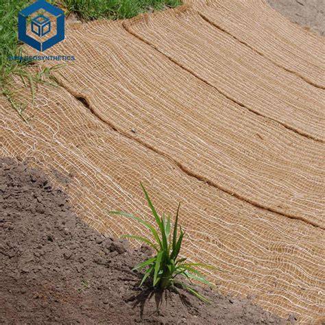 EFFECTIVENESS OF COCONUT FIBER GEOTEXTILE AND VETIVER … - raincitystudios.com