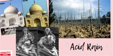 Effects of Acid Rain - US EPA - wintechmobiles.com