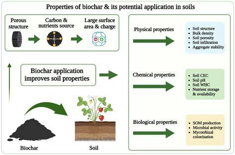 Effects of biochar and irrigation strategy optimization on soil water ... - raincitystudios.com