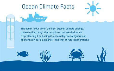 Effects of climate change on oceans Facts for Kids - raincitystudios.com