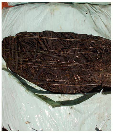 Effects of different orchard tree pruning residues on the yield and ... - raincitystudios.com