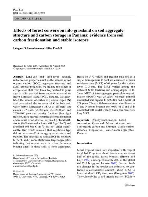 Effects of forest conversion into grassland on soil - raincitystudios.com