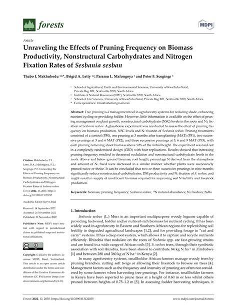 EFFECTS OF PRUNING AND NITROGEN … - raincitystudios.com