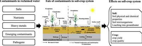 Effects of reclaimed wastewater irrigation on soil-crop systems in ... - raincitystudios.com
