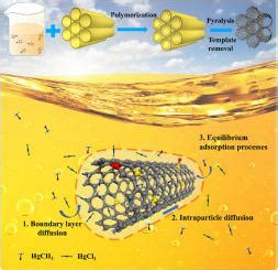 Effects of surface functionalizing and pore structure on dissolved ... - wintechmobiles.com
