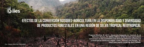 Effects of the forests-agriculture conversion on the availability and ... - raincitystudios.com