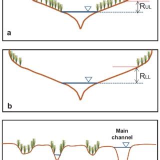 Effects of vegetation distribution along river transects on the ... - wintechmobiles.com