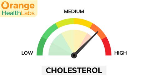 Effects of Vitamin E on Stress Resorption, Lipid Profile and ... - wintechmobiles.com