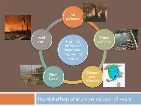 Effects of Waste Disposal - Different Methods and Their Impact - raincitystudios.com