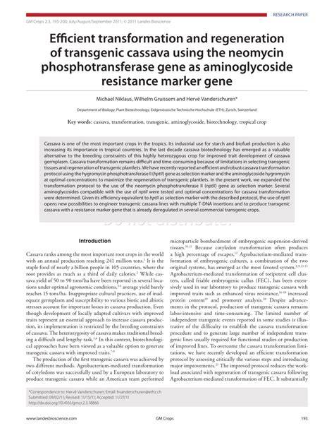 Efficient transformation and regeneration of transgenic … - raincitystudios.com