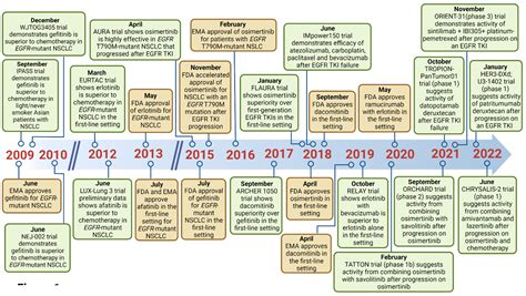 EGFF_2024 Echte Fragen