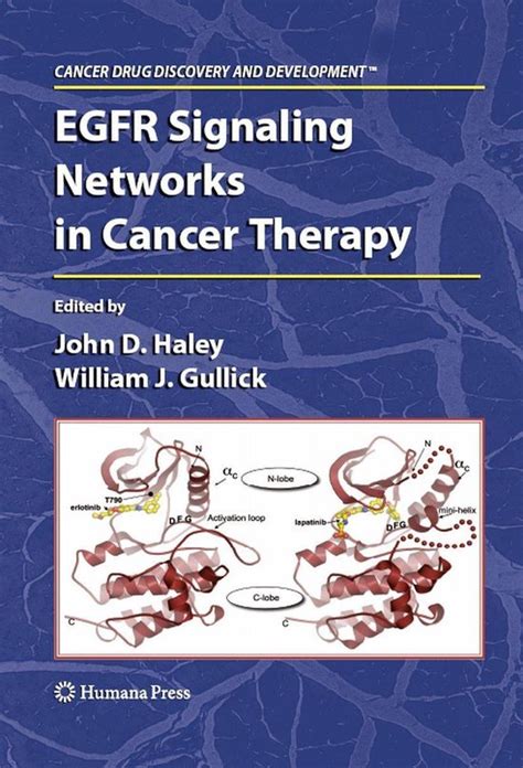 Read Online Egfr Signaling Networks In Cancer Therapy Cancer Drug Discovery And Development By John D Haley