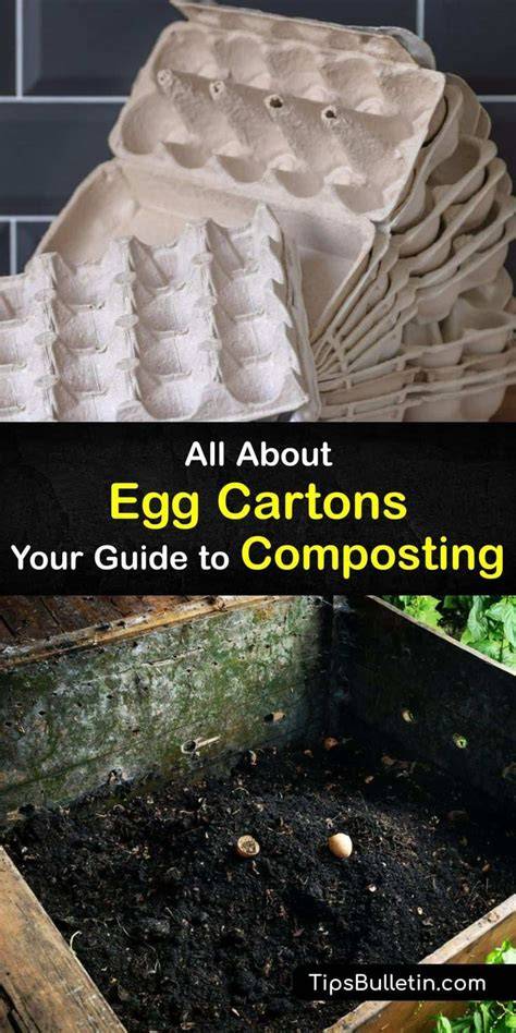 Egg Carton Compost Bin Ideas - raincitystudios.com