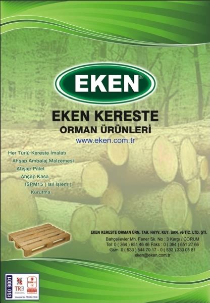 codini.rgarabwor.edu.pl. 