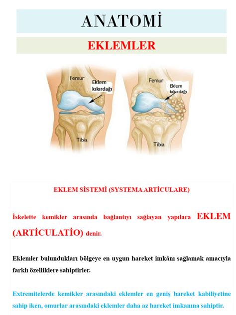 EKLEMLER.
