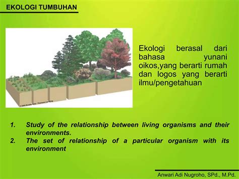 Ekologi - Wikipedia bahasa Indonesia, ensiklopedia bebas - muktibox.com