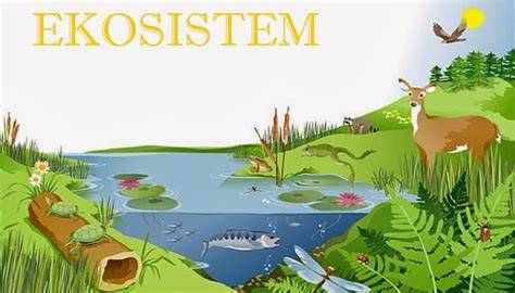 Ekosistem: Pengertian, Komponen Serta Macam - Universitas Medan … - raincitystudios.com