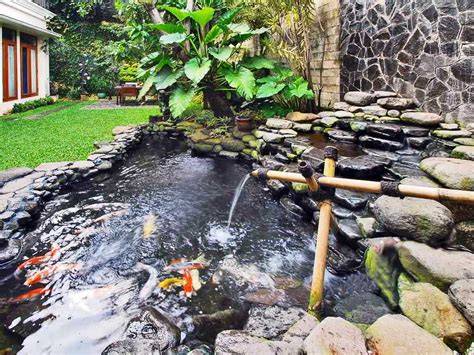 Ekosistem Buatan Kolam Ikan Halaman 1 - raincitystudios.com