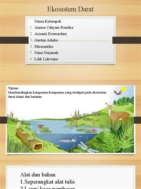 Ekosistem Darat dan Bioma Utamanya | PDF | Griya & Taman - Scribd - muktibox.com