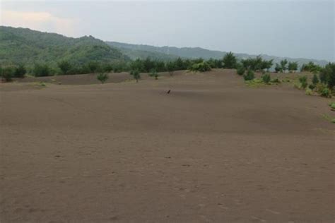 Ekosistem Gumuk Pasir - ResearchGate - wintechmobiles.com