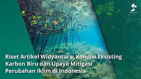 Ekosistem Karbon Biru dan Mitigasi Perubahan Iklim - raincitystudios.com