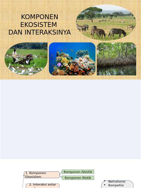 Ekosistem montana - Wikipedia bahasa Indonesia, … - raincitystudios.com