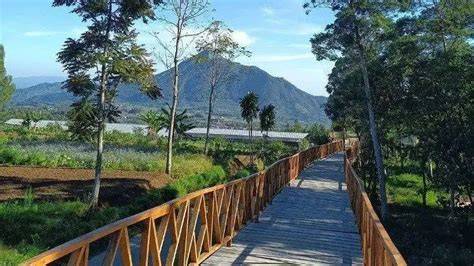 Eksplorasi 10 Wisata Kopeng Salatiga - Jateng Kita - raincitystudios.com