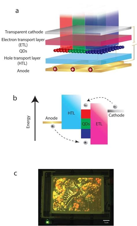 EL-QD Displays - IDTechEx Explores Quantum Dots - wintechmobiles.com